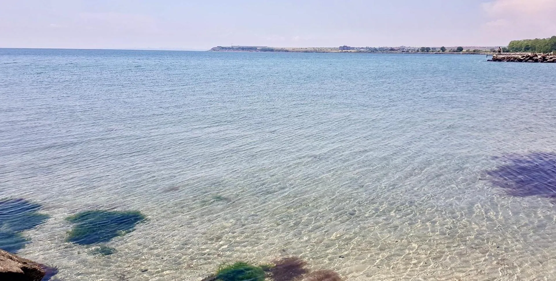 Budget First Sea Line Apt. Flora Pomorie Bulgarien