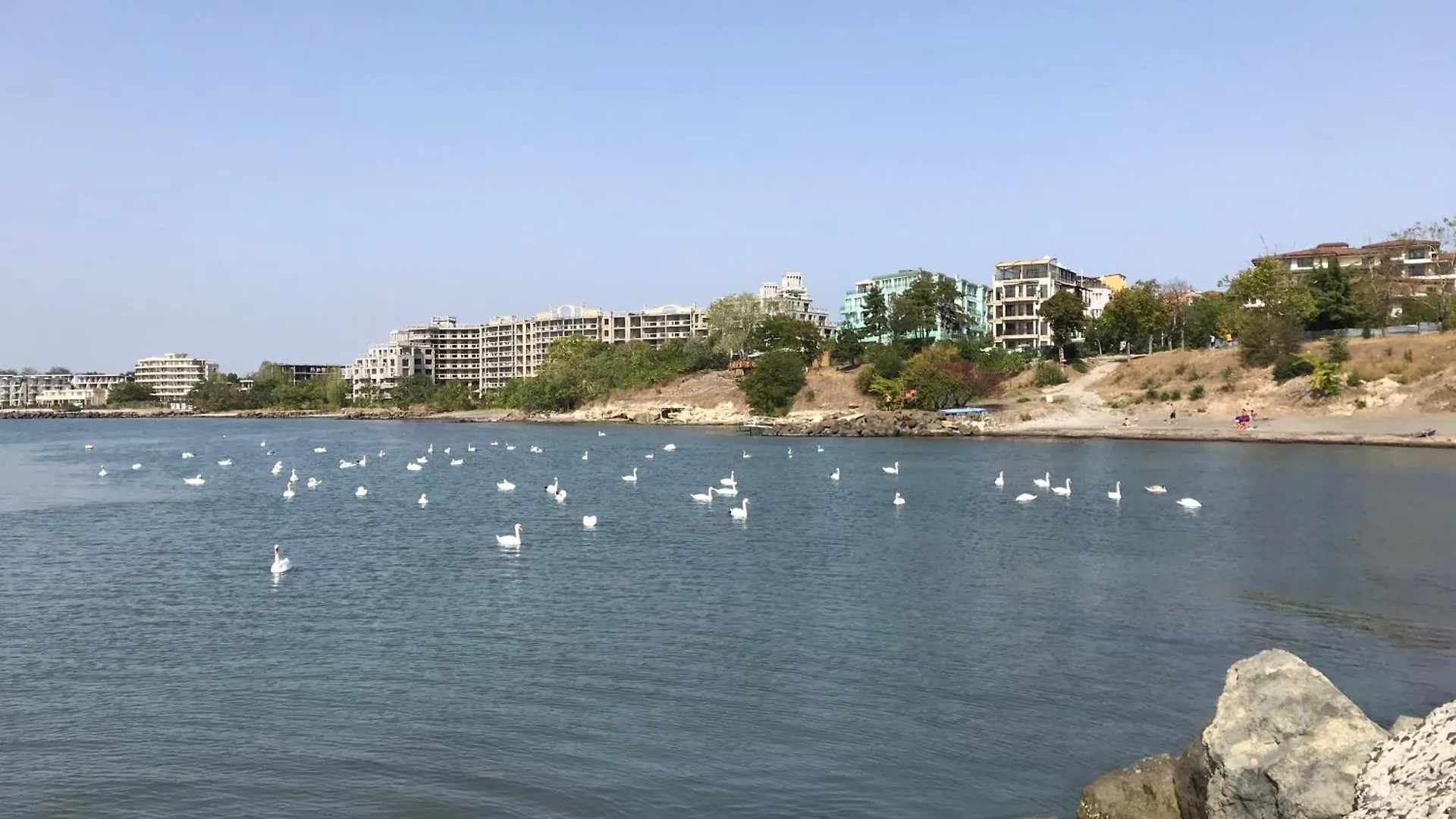 Apartment Budget First Sea Line Apt. Flora Pomorie