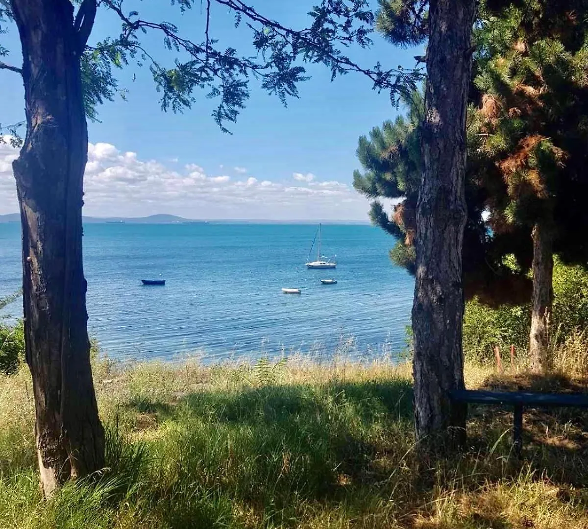 Apartment Budget First Sea Line Apt. Flora Pomorie