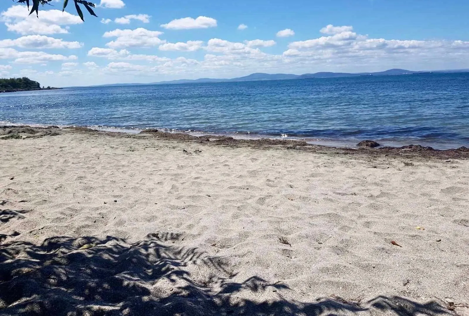 Apartment Budget First Sea Line Apt. Flora Pomorie